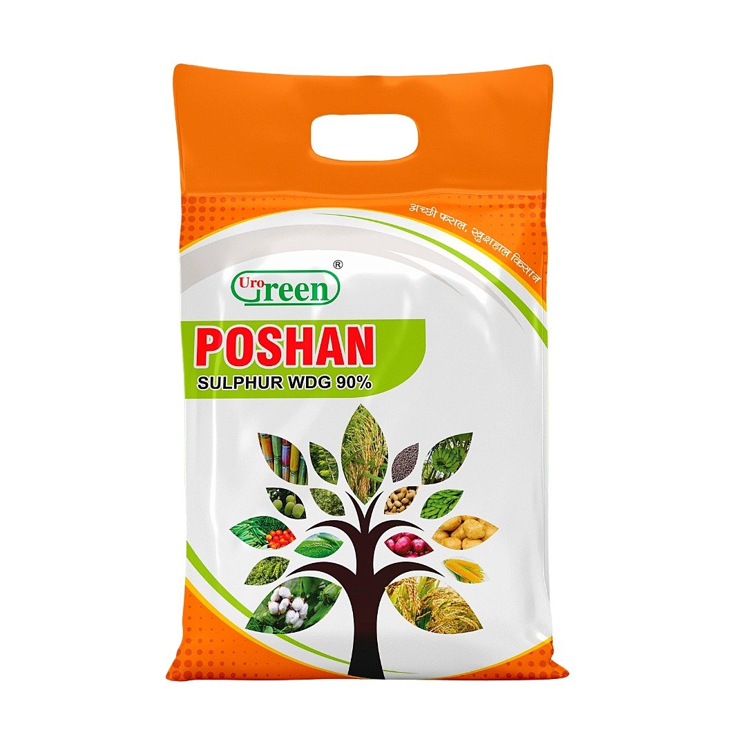 Untitled - 2026-02-07T122633.182