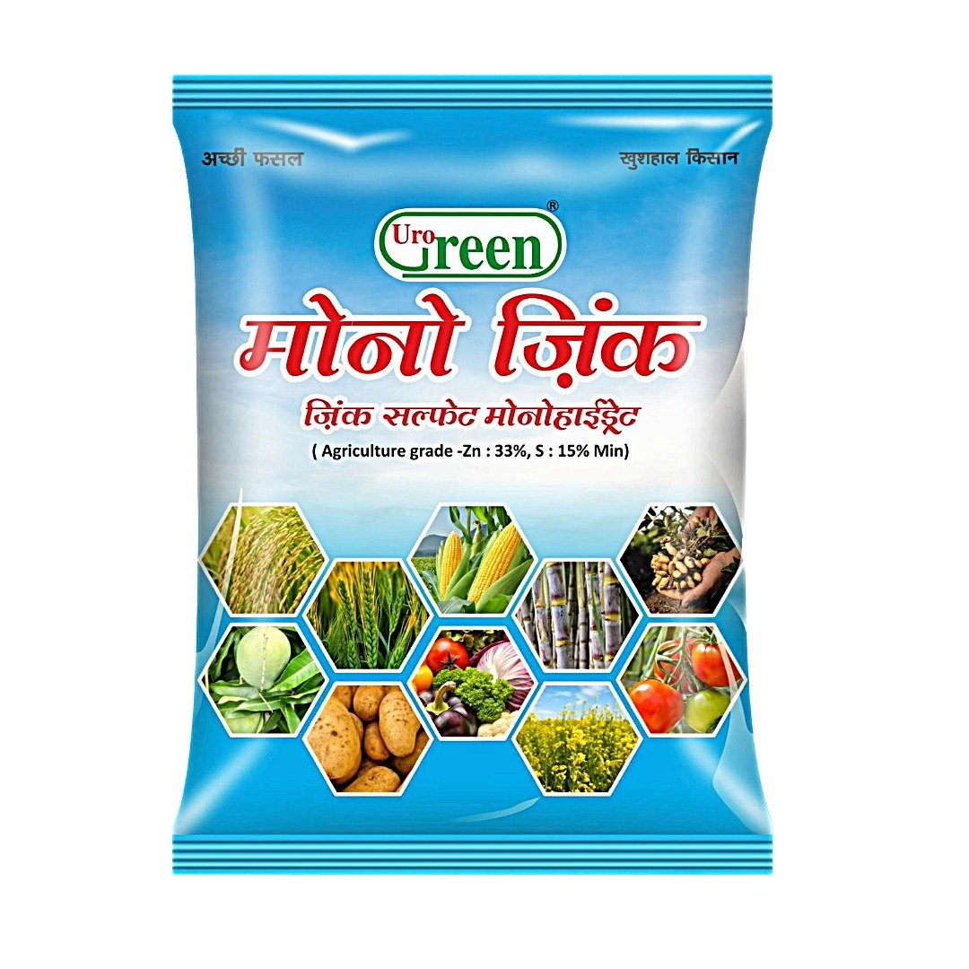 Untitled - 2026-02-06T115003.461