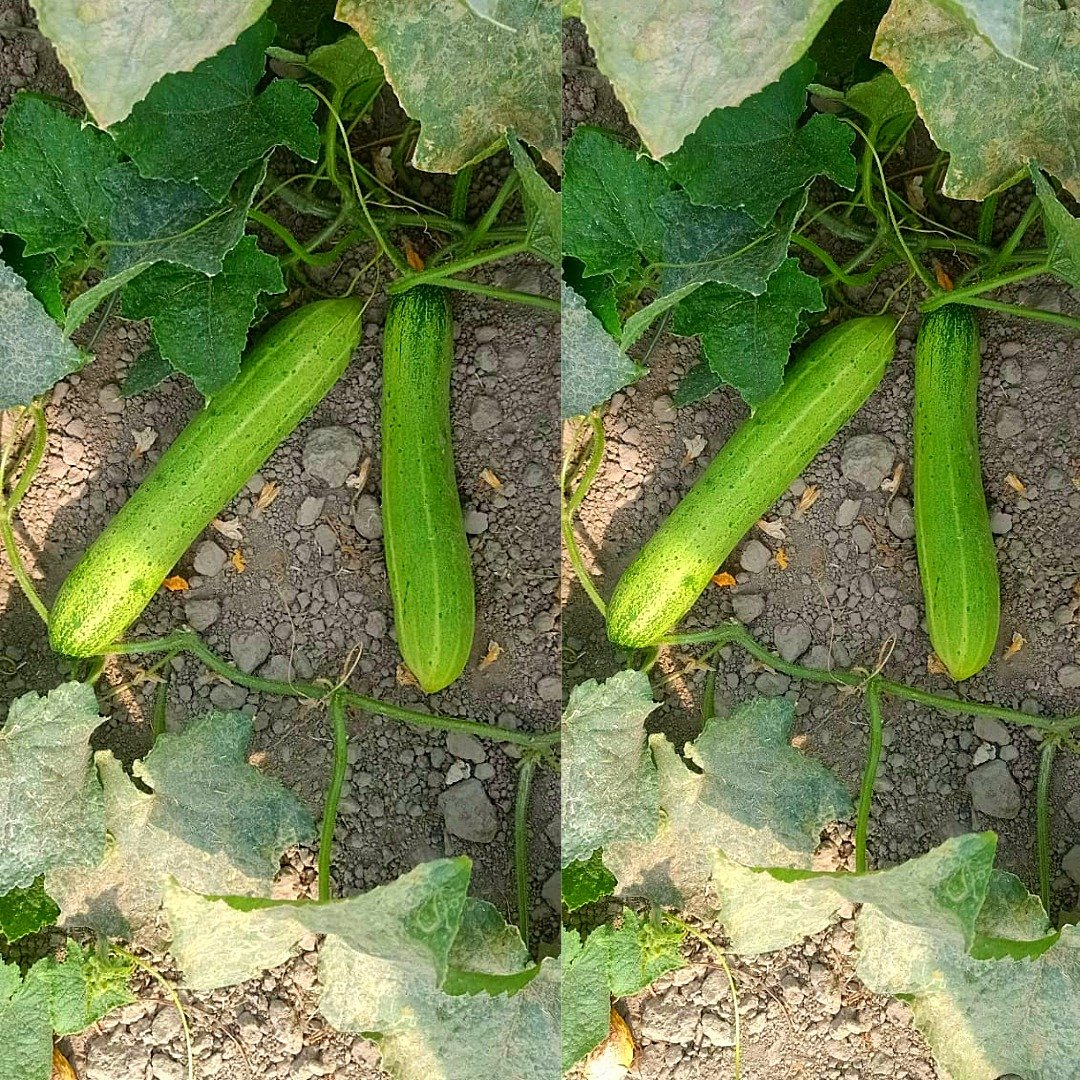 Untitled - 2026-02-13T124616.482