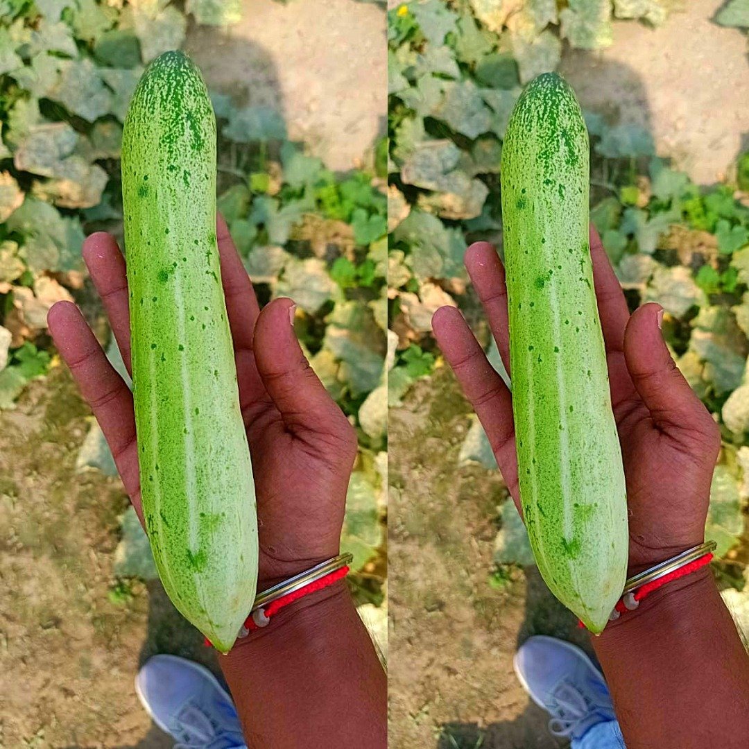 Untitled - 2026-02-13T124722.422