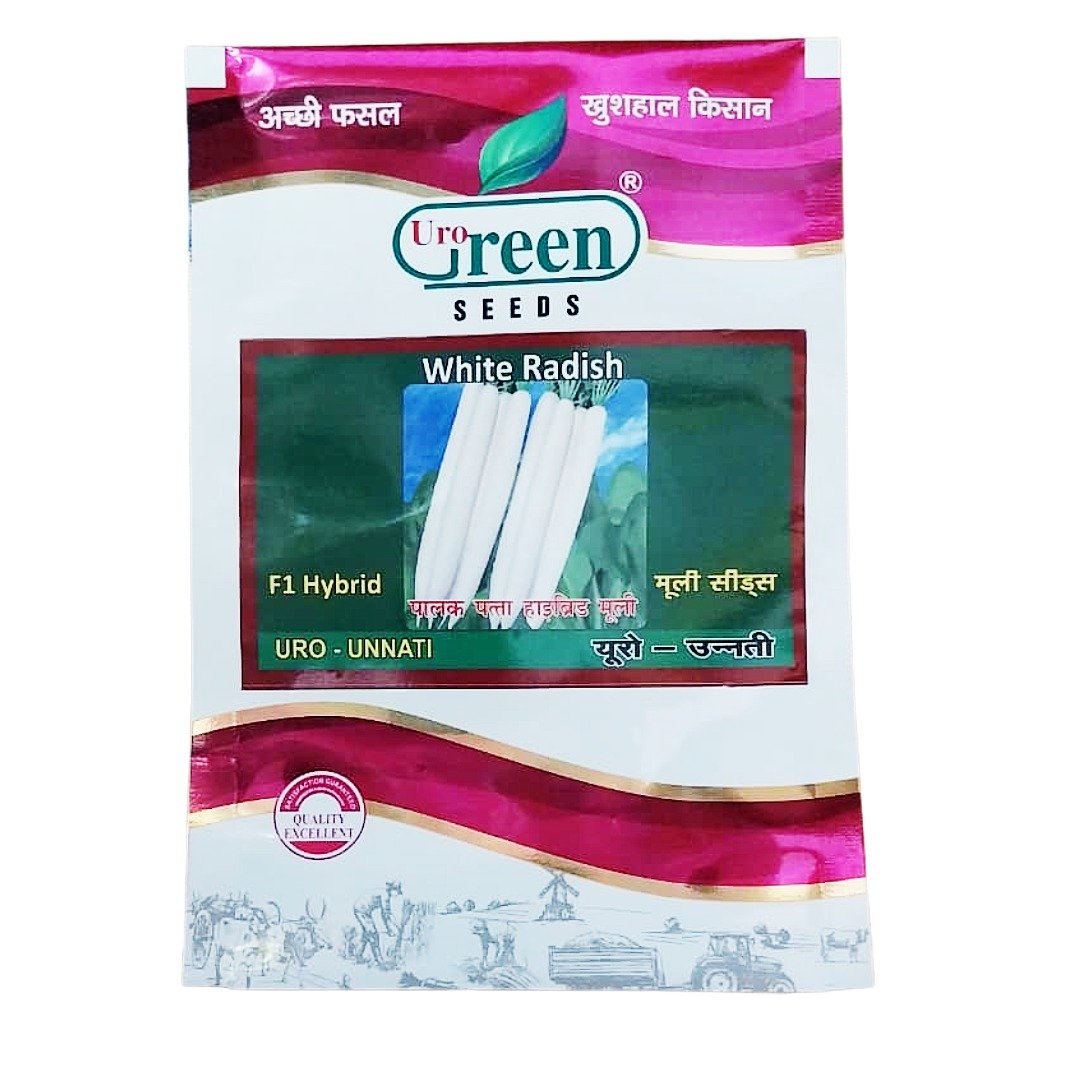 Untitled - 2026-02-17T100443.983