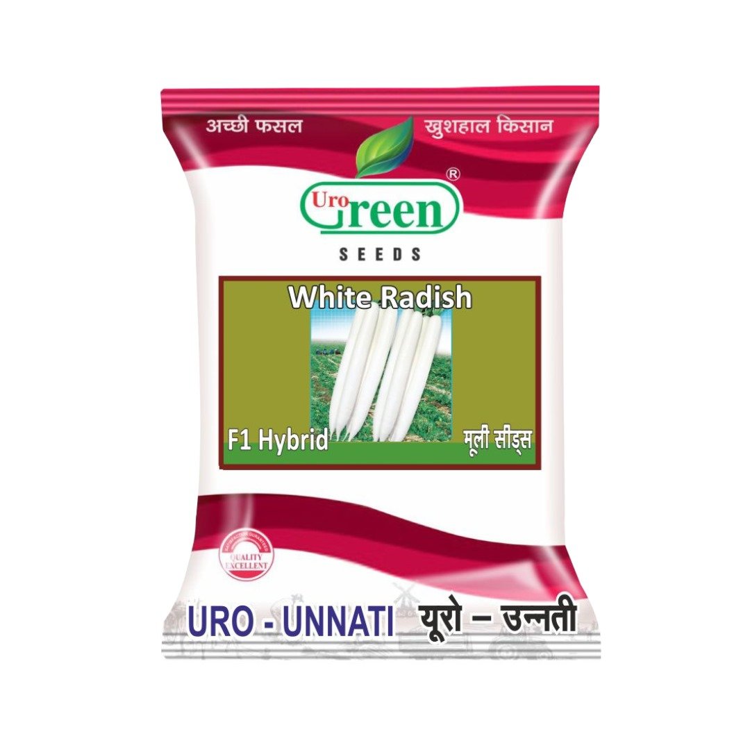 Uro unnati mooli seed