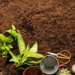 Agricultural Fertilizer