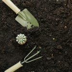Organic Manure
