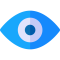 vision